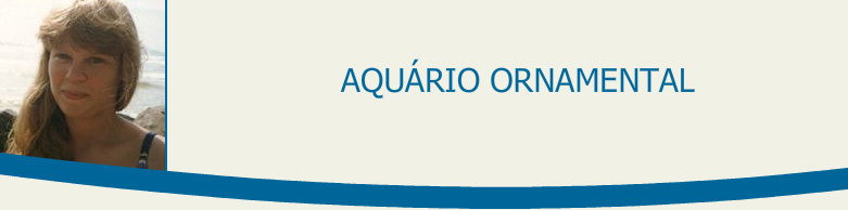 aqu�rio ornamental
