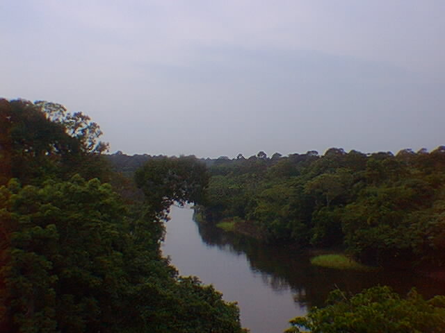rio do amazonas