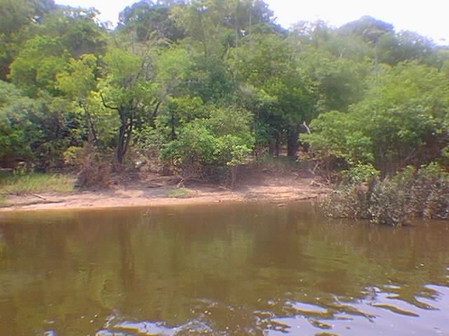 gua barrenta