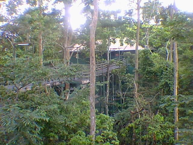 ponte no hotel ariau