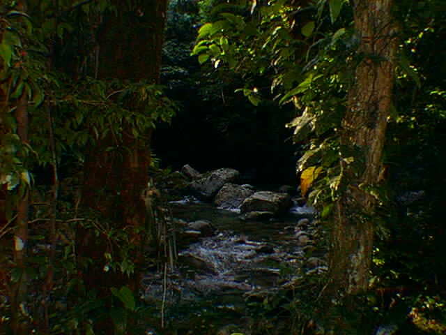 riacho em Bertioga