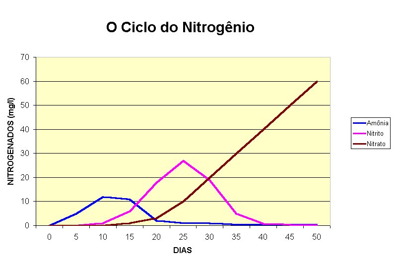 ciclo do nitrogênio