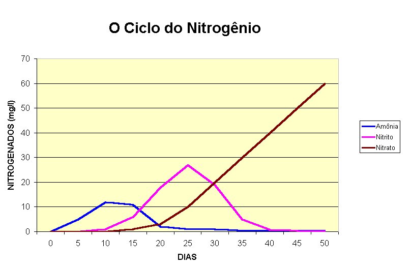 ciclo do nitrognio