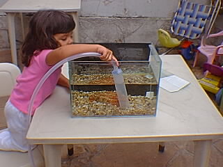 criança sifonando o aquário
